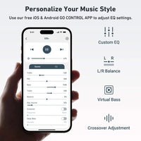Arylic S10+ Musikstreamer Musikstreamer
