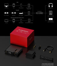 Aune Flamingo BT - Hörlursförstärkare - DEMO Hörlursförstärkare