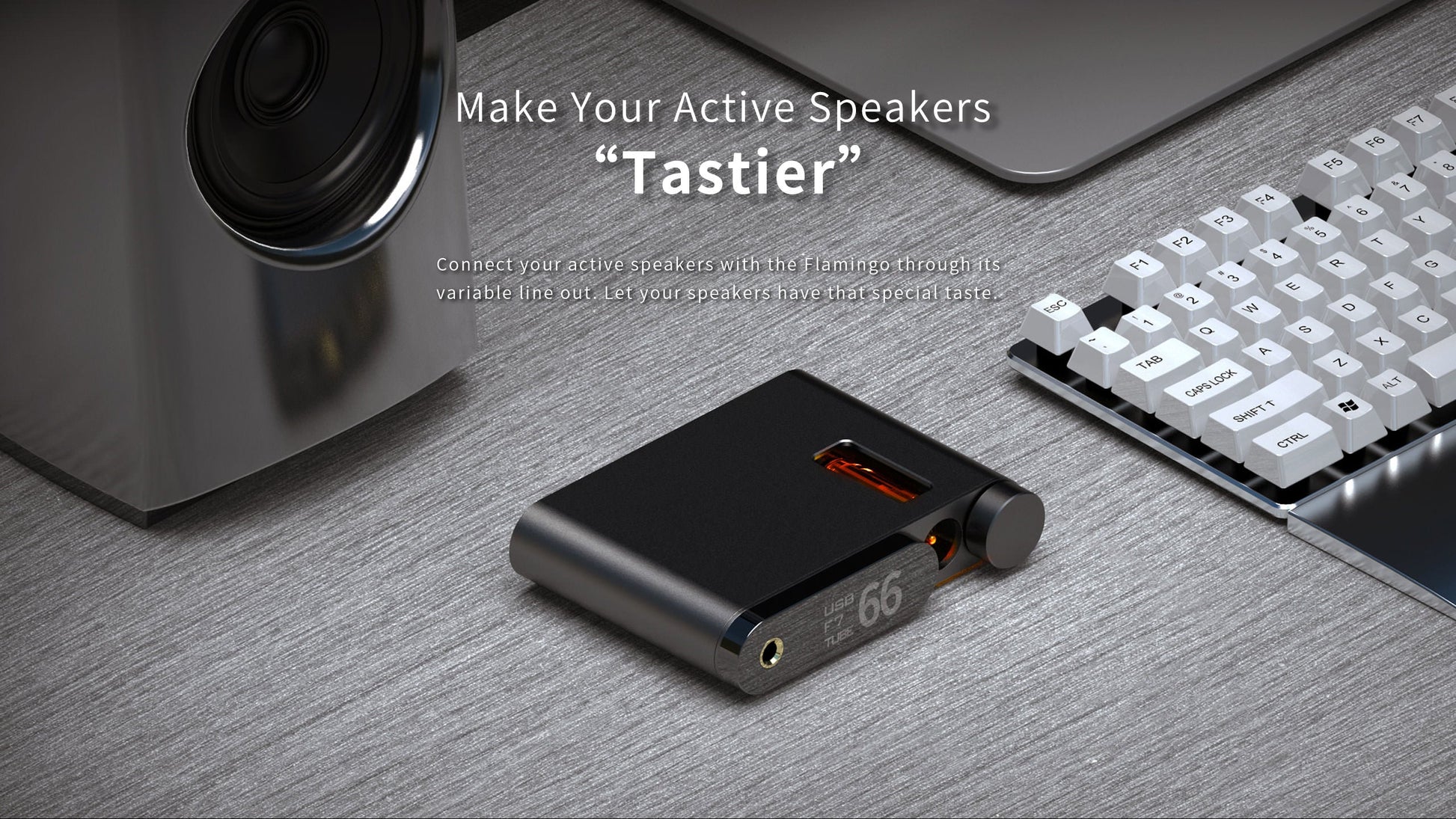 Aune Flamingo BT - Hörlursförstärkare - DEMO Hörlursförstärkare