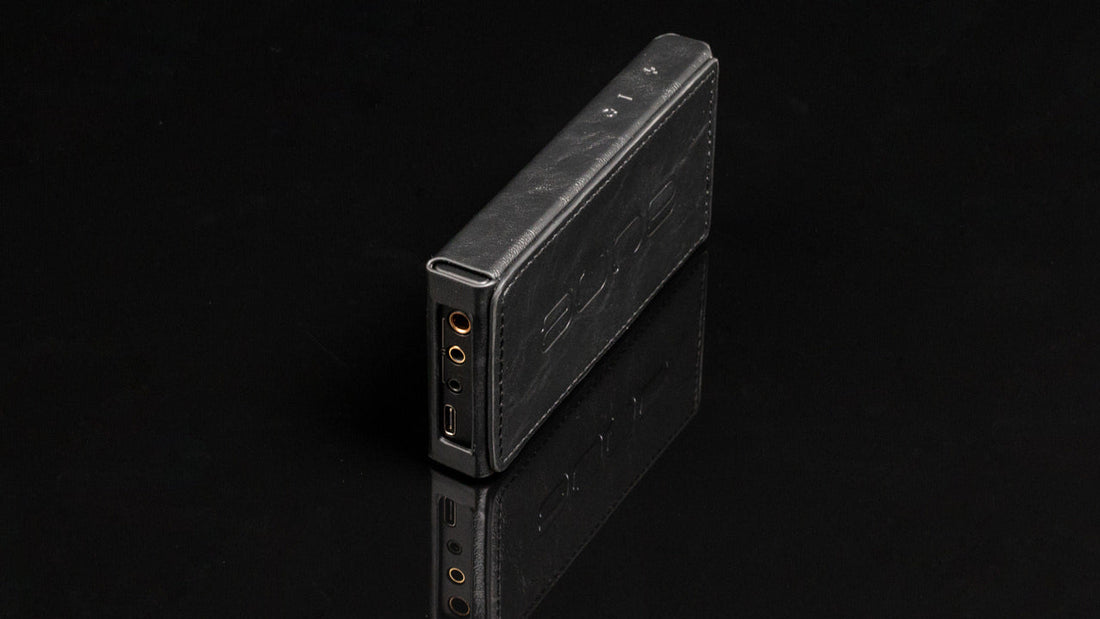 Aune M1p fodral Skyddsfodral