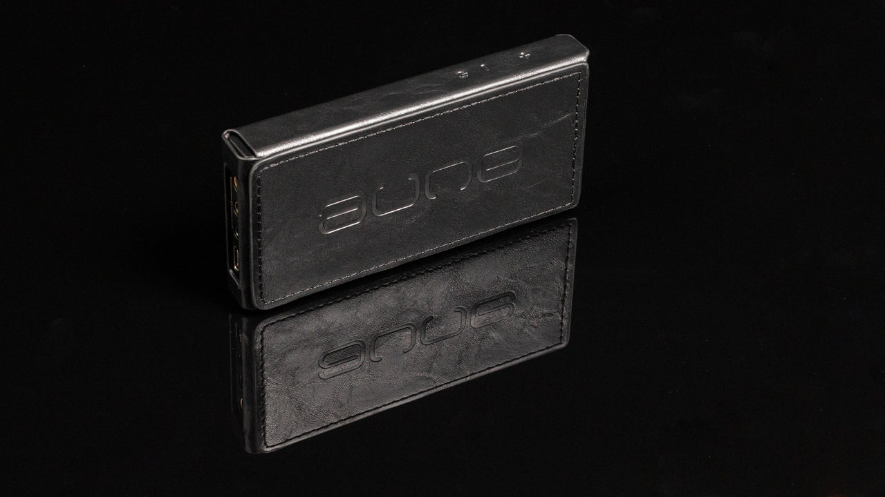 Aune M1p fodral Skyddsfodral