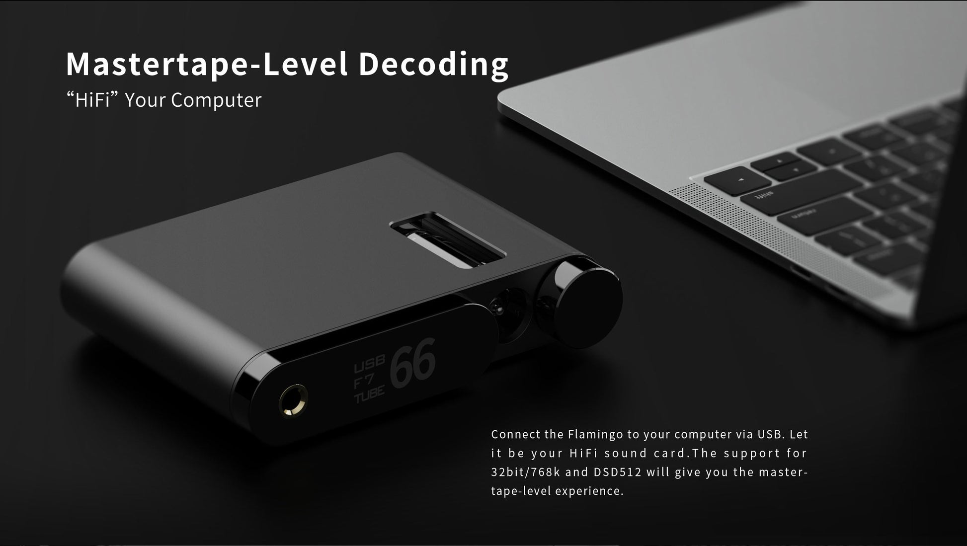 Aune Flamingo BT - Hörlursförstärkare - DEMO Hörlursförstärkare