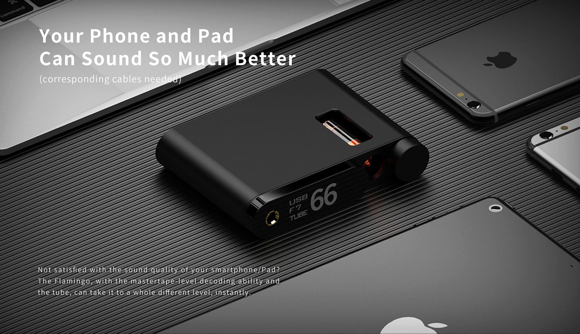 Aune Flamingo BT - Hörlursförstärkare - DEMO Hörlursförstärkare