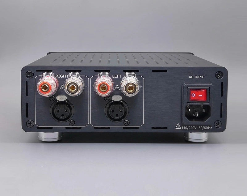 ICEpower DIY 2-kanals låda för ICEpower 1200AS2 & 2000AS2