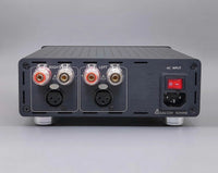 ICEpower DIY 2-kanals låda för ICEpower 1200AS2 & 2000AS2