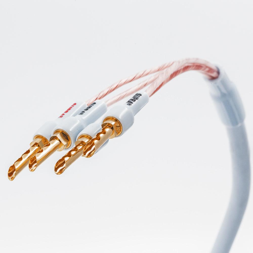 Supra XL Annorum CombiCon Bi-Amp 4Banana - 4Banana (par) Terminerad-högtalarkabel