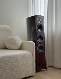 TAGA Diamond F-100 v.3