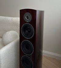 TAGA Diamond F-100 v.3