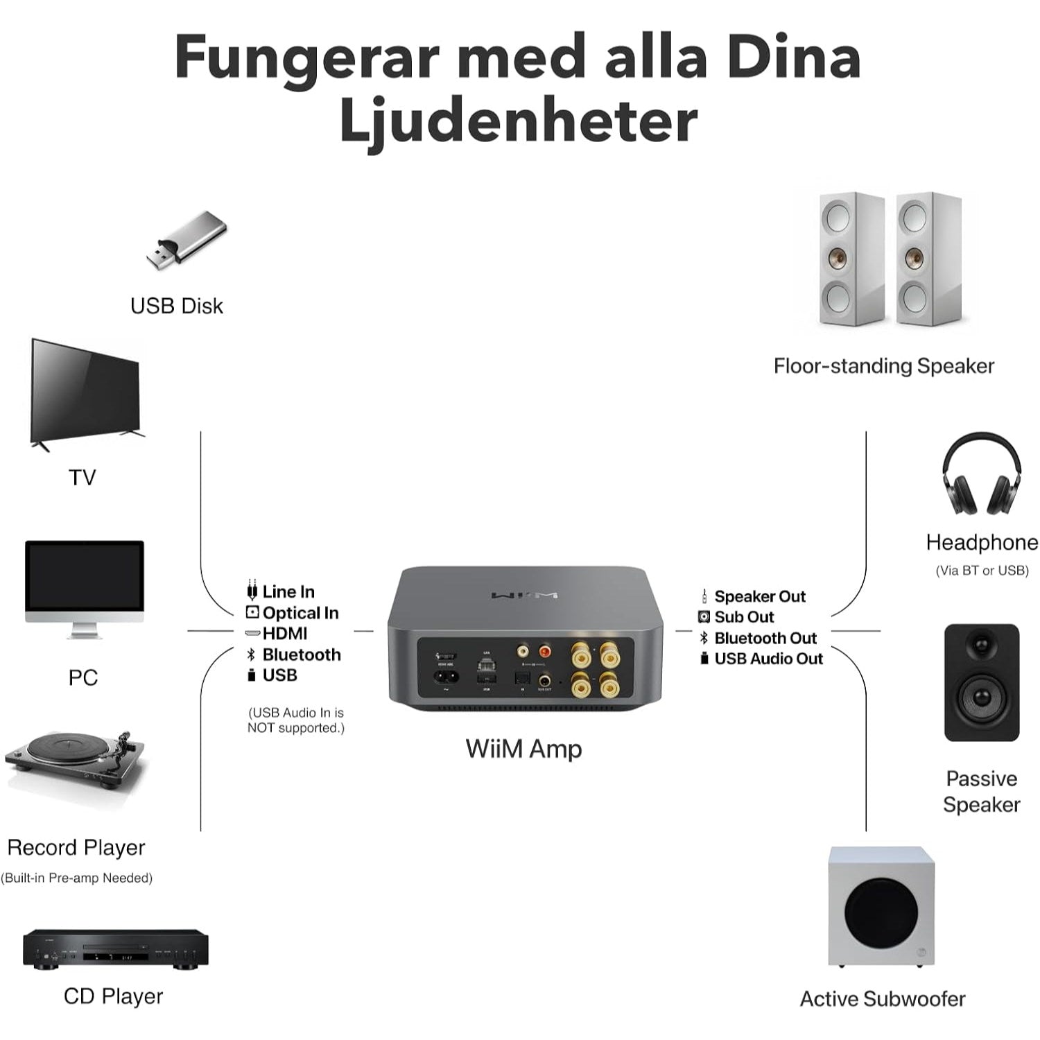 WiiM Amp - Kompakt streamingförstärkare med 60W Stereoförstärkare