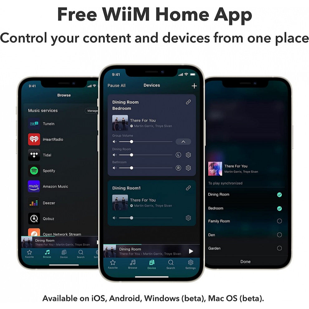 WiiM Pro Plus - Premium Hi-Res musikstreamer med AKM DAC Musikstreamer