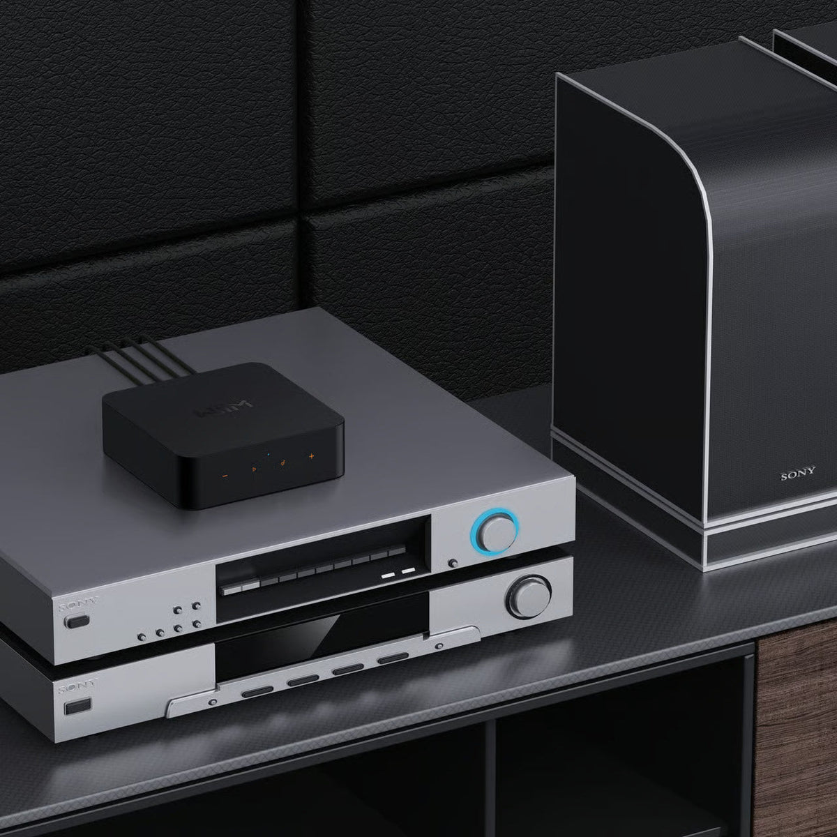 WiiM Pro - Kompakt Hi-Res musikstreamer med bit-perfect streaming Musikstreamer