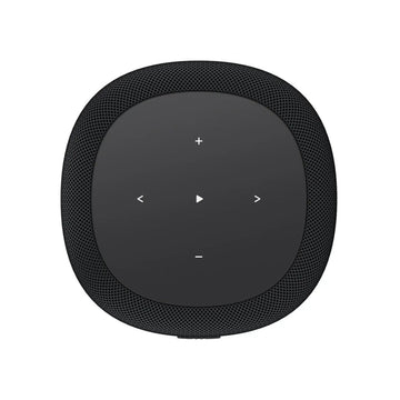WiiM Sound Lite - Kompakt Hi-Res smart högtalare med 100W Aktiva högtalare