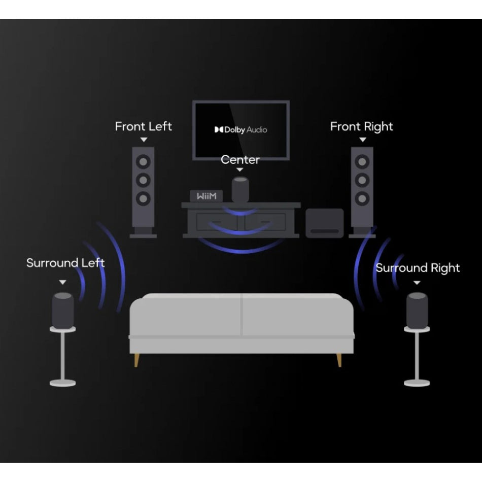 WiiM Sound Lite - Kompakt Hi-Res smart högtalare med 100W Aktiva högtalare