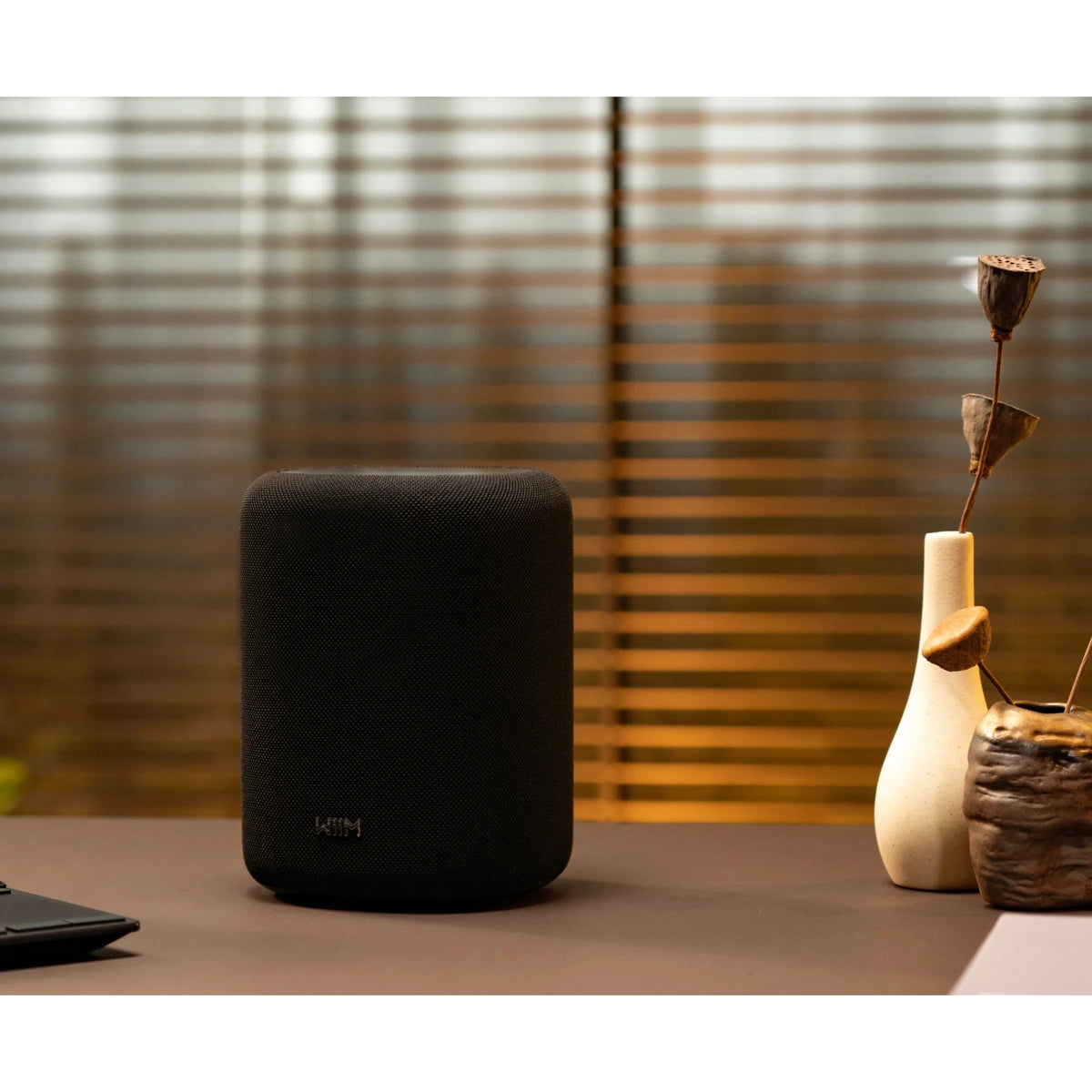 WiiM Sound Lite - Kompakt Hi-Res smart högtalare med 100W Aktiva högtalare