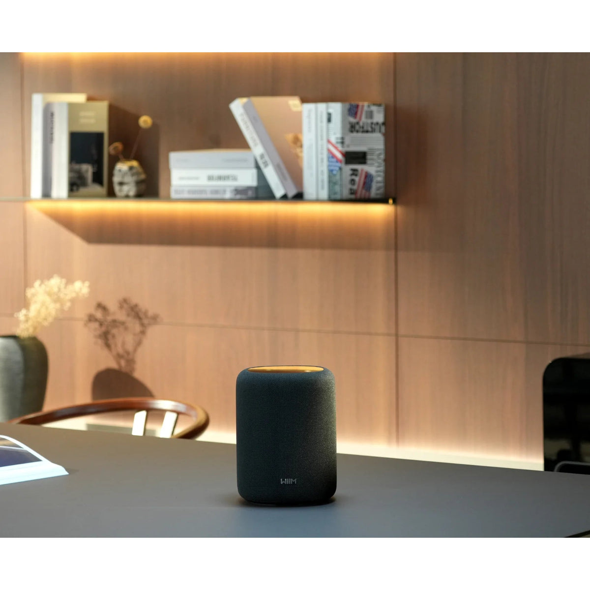 WiiM Sound Lite - Kompakt Hi-Res smart högtalare med 100W Aktiva högtalare