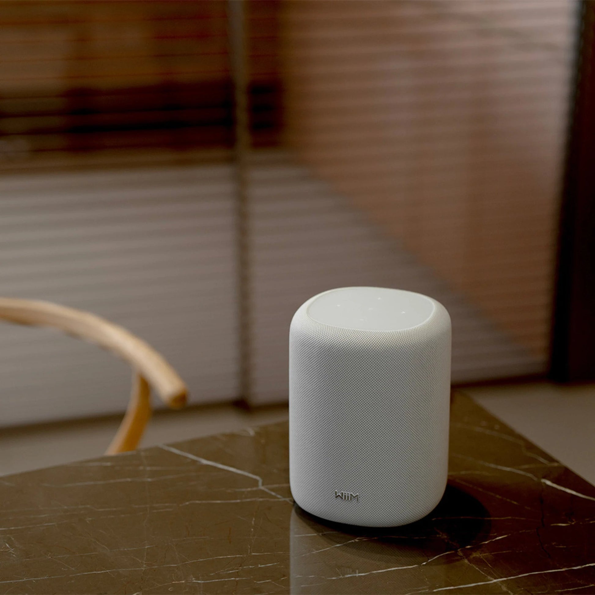 WiiM Sound Lite - Kompakt Hi-Res smart högtalare med 100W Aktiva högtalare