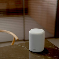 WiiM Sound Lite - Kompakt Hi-Res smart högtalare med 100W Aktiva högtalare