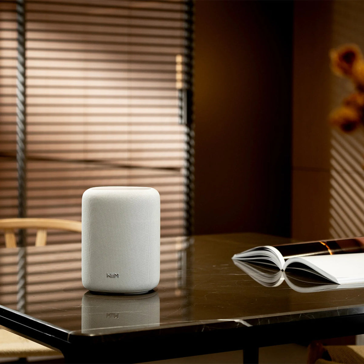 WiiM Sound Lite - Kompakt Hi-Res smart högtalare med 100W Aktiva högtalare